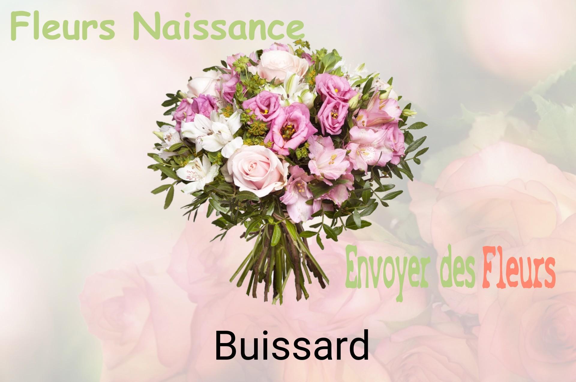 Bouquet de fleurs de naissance livré à Buissard